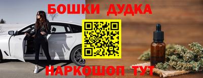 гидра Гатчина