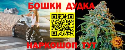 гидра Гатчина
