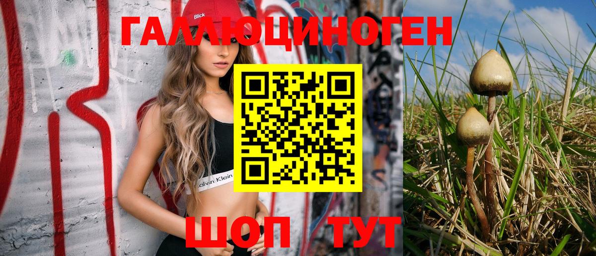 Псилоцибиновые грибы ЛСД  Вход с VPN  купить закладку  Канаш 