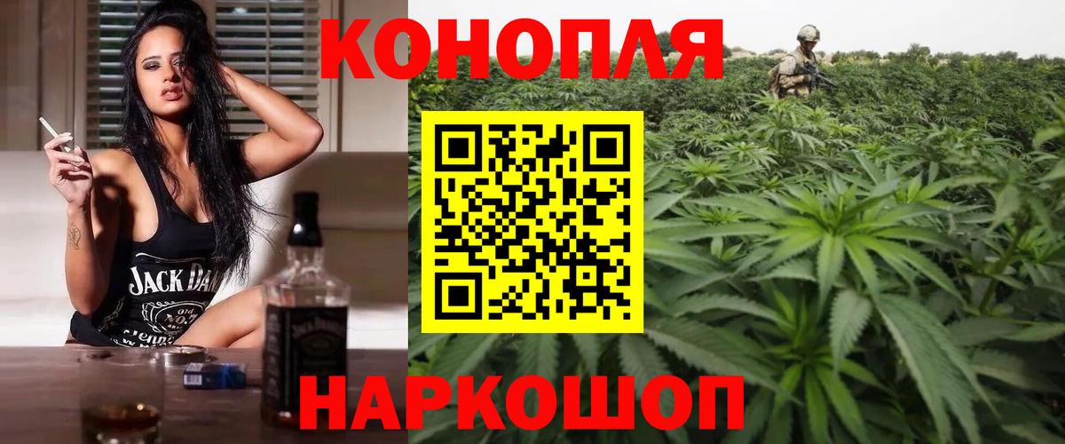 Конопля тримм  Каннабис марихуана  Канаш  Вход с VPN 